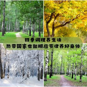 四季调理